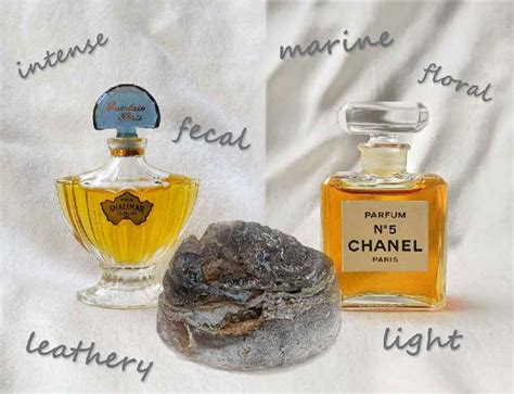 does chanel no 5 contain ambergris